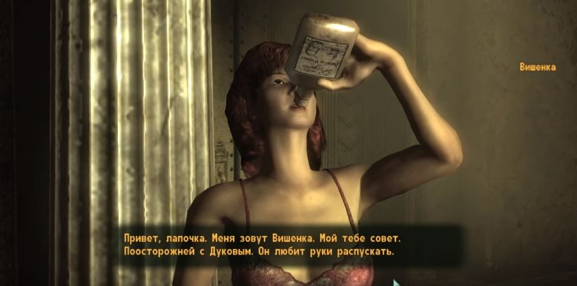 Локации Fallout 3: Жилище Дукова