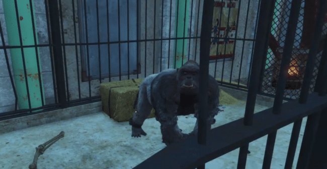 Поселенцы в Fallout 4